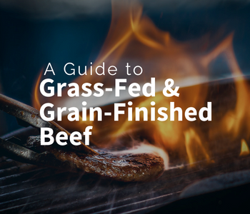 Grass Fed versus Grain Finished Beef
